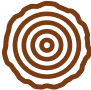 Tree rings icon