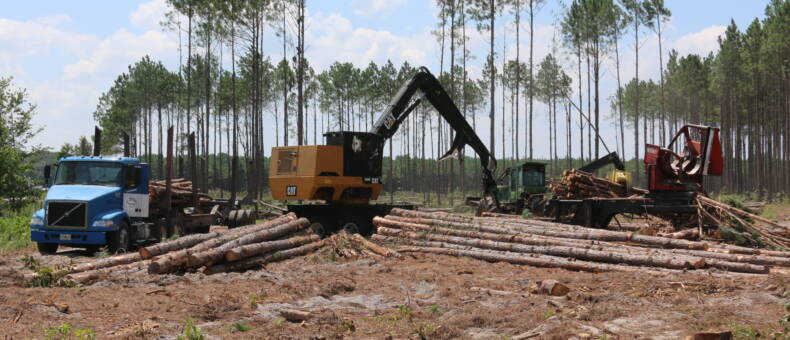 truck loader skidder and delimber